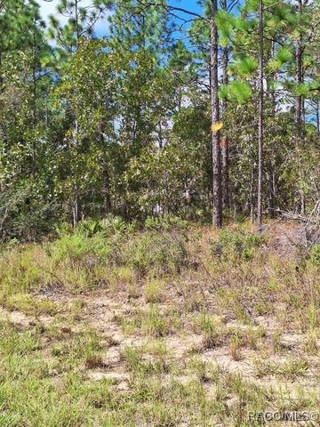 4138 W Dorchester Circle, Dunnellon, FL 34434