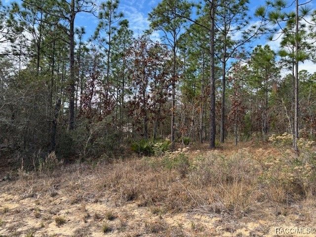 4138 W Dorchester Circle, Dunnellon, FL 34434