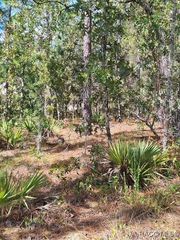 4138 W Dorchester Circle, Dunnellon, FL 34434