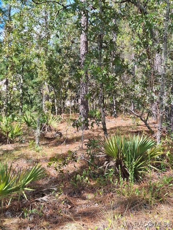 4138 W Dorchester Circle, Dunnellon, FL 34434
