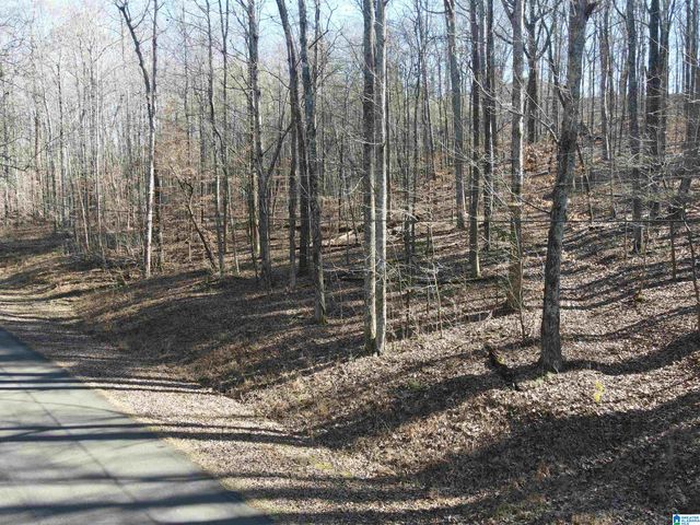 7613 COTTONRIDGE ROAD, Trussville, AL 35173