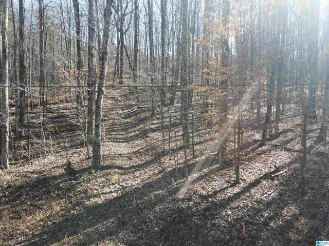 7613 COTTONRIDGE ROAD, Trussville, AL 35173