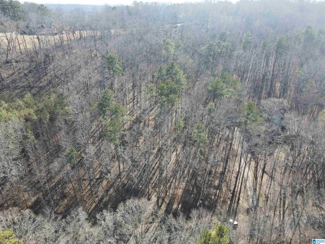 7613 COTTONRIDGE ROAD, Trussville, AL 35173