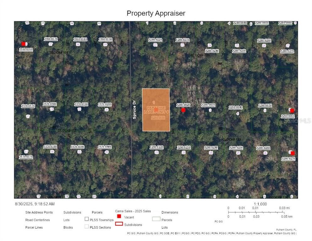 CHIPOLA DRIVE, Georgetown, FL 32139