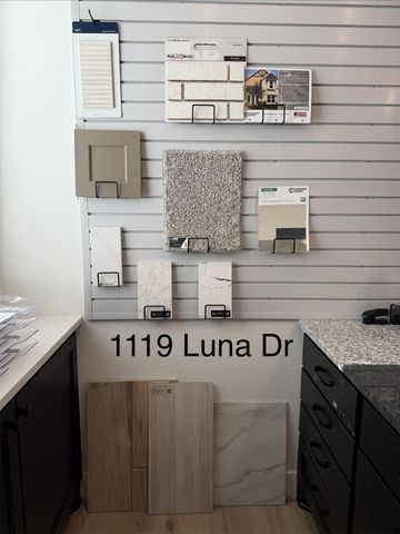 1119 Luna Drive, Missouri City, TX 77459