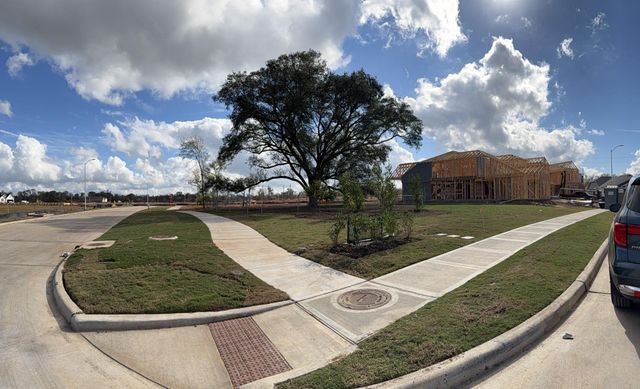 1119 Luna Drive, Missouri City, TX 77459