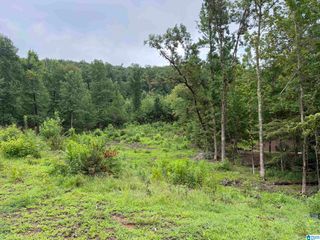 1072 ROYAL MILE, Birmingham, AL 35242