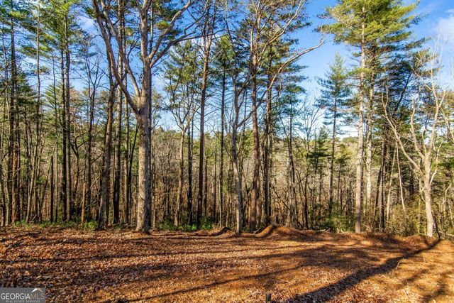 6.44 Whispering Oaks Drive, Ellijay, GA 30540