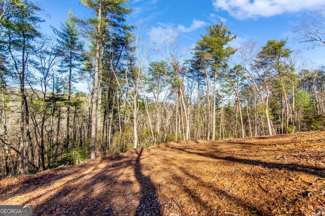 6.44 Whispering Oaks Drive, Ellijay, GA 30540