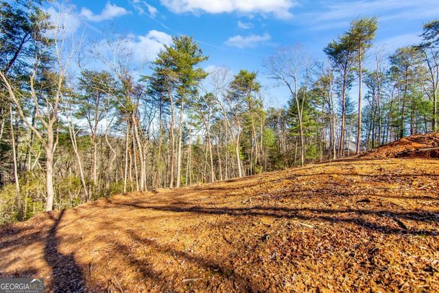 6.44 Whispering Oaks Drive, Ellijay, GA 30540