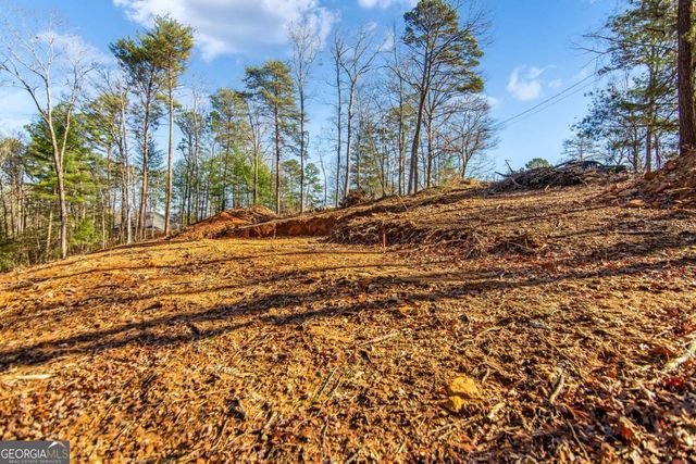 6.44 Whispering Oaks Drive, Ellijay, GA 30540