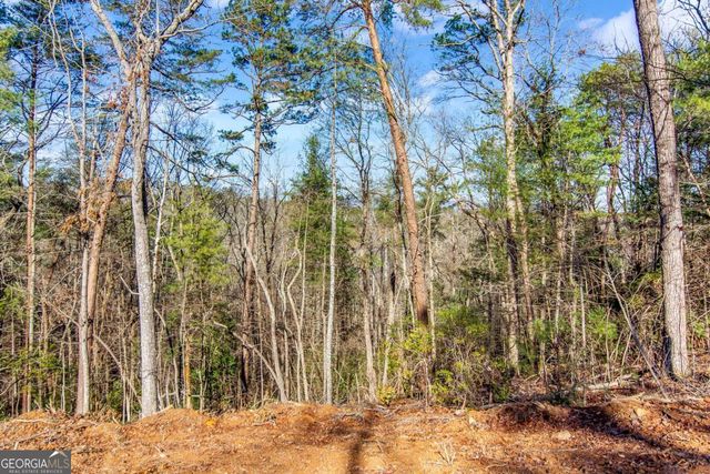 6.44 Whispering Oaks Drive, Ellijay, GA 30540