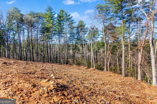 6.44 Whispering Oaks Drive, Ellijay, GA 30540