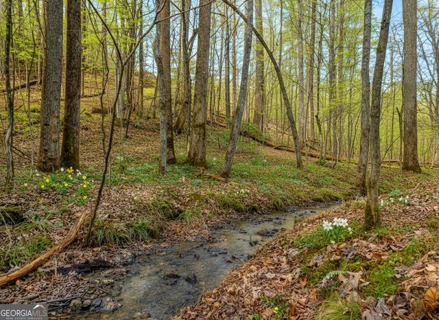 6.44 Whispering Oaks Drive, Ellijay, GA 30540