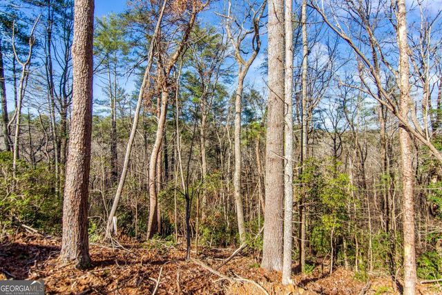 6.44 Whispering Oaks Drive, Ellijay, GA 30540