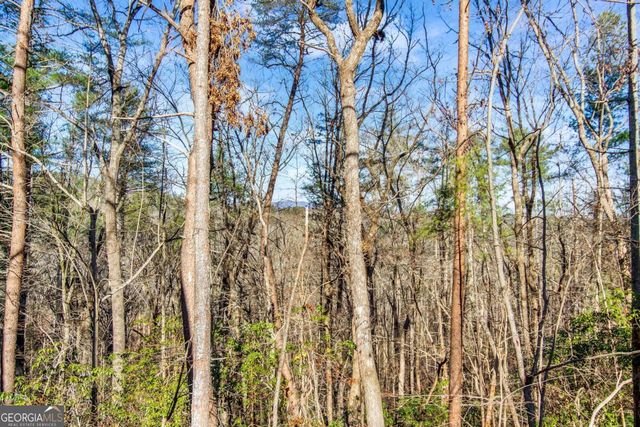 6.44 Whispering Oaks Drive, Ellijay, GA 30540