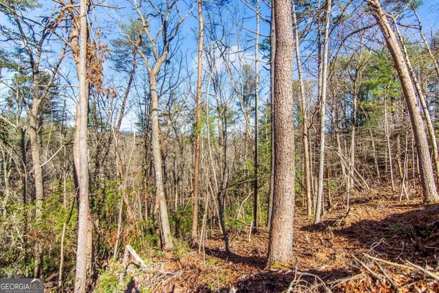 6.44 Whispering Oaks Drive, Ellijay, GA 30540