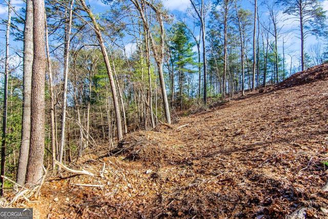 6.44 Whispering Oaks Drive, Ellijay, GA 30540
