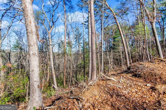 6.44 Whispering Oaks Drive, Ellijay, GA 30540