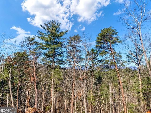 6.44 Whispering Oaks Drive, Ellijay, GA 30540