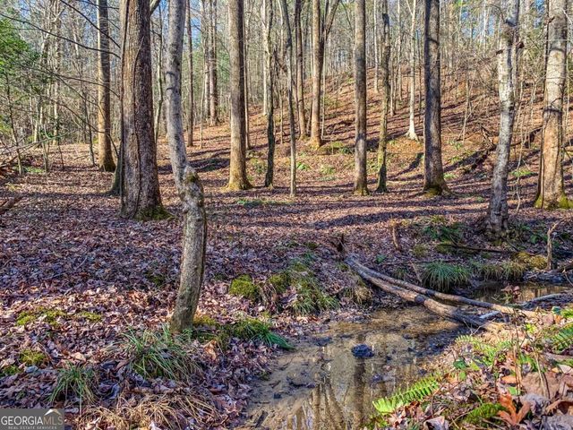 6.44 Whispering Oaks Drive, Ellijay, GA 30540