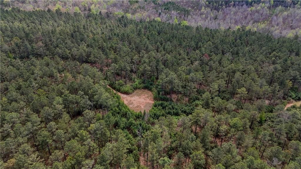 Image 10 of property listing at 0 Cross Plains Hulett, Carrollton, GA 30116
