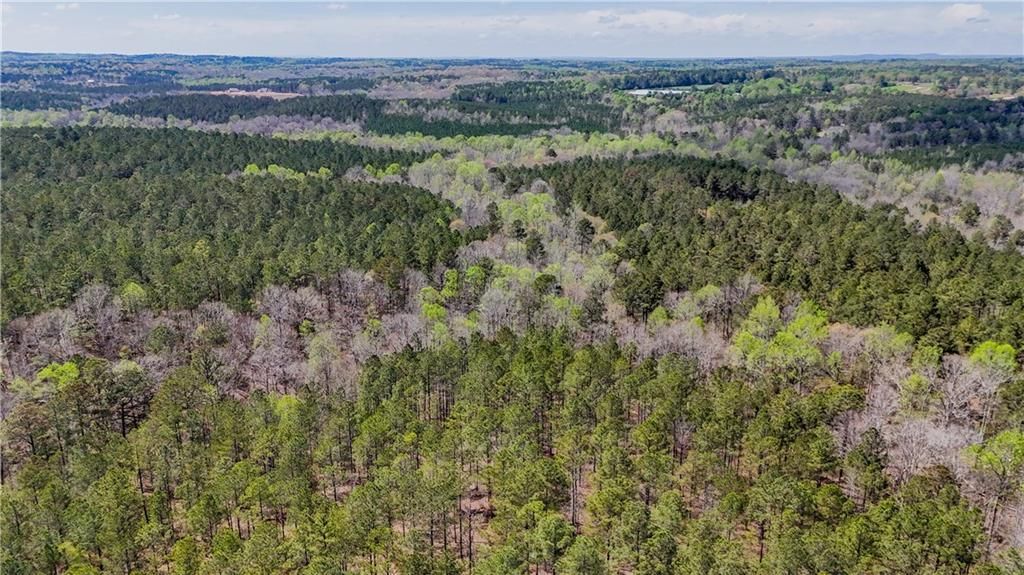 Image 11 of property listing at 0 Cross Plains Hulett, Carrollton, GA 30116