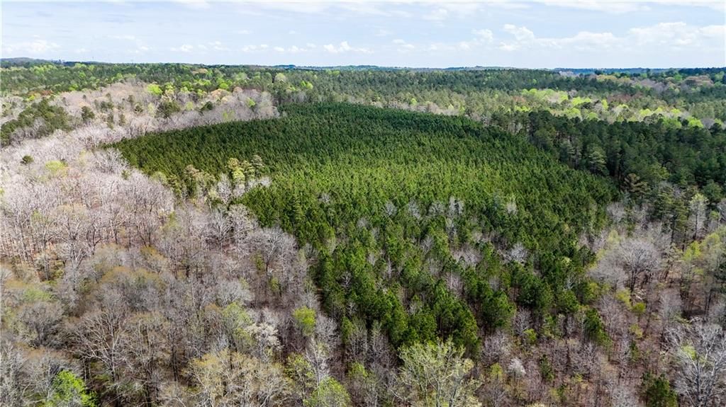 Image 3 of property listing at 0 Cross Plains Hulett, Carrollton, GA 30116