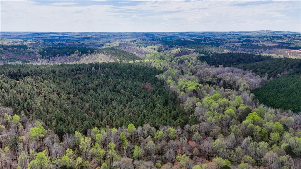 Image 9 of property listing at 0 Cross Plains Hulett, Carrollton, GA 30116