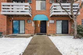 1351 N Winslowe Drive 302, Palatine, IL 60074