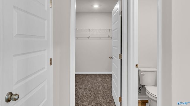 133 Nettle Leaf Drive, Meridianville, AL 35759