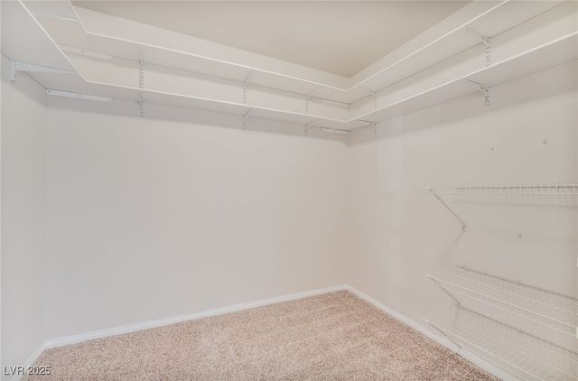 7849 Russling Leaf Drive, Las Vegas, NV 89131