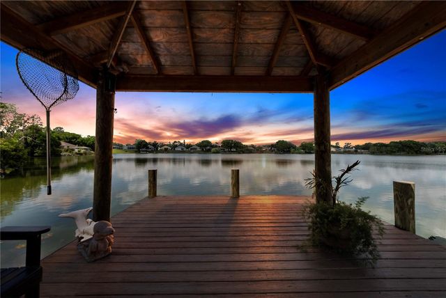 3921 ROSWELL PLACE, Land O Lakes, FL 34639