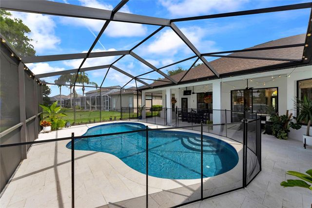 3921 ROSWELL PLACE, Land O Lakes, FL 34639