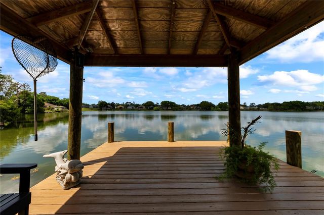 3921 ROSWELL PLACE, Land O Lakes, FL 34639