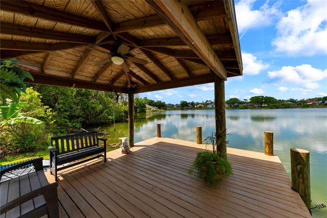 3921 ROSWELL PLACE, Land O Lakes, FL 34639