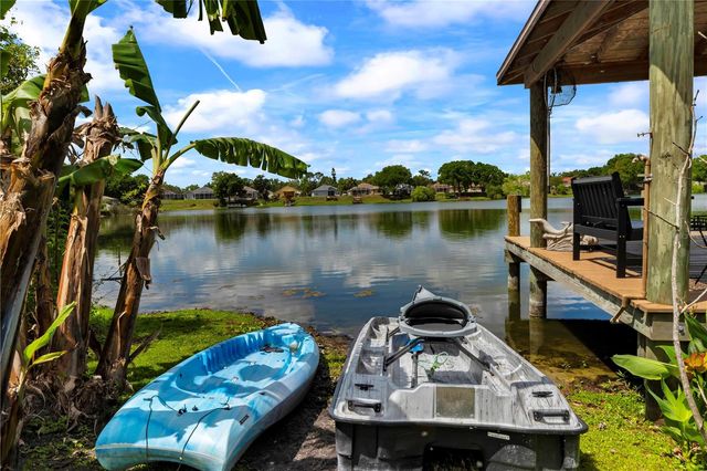 3921 ROSWELL PLACE, Land O Lakes, FL 34639