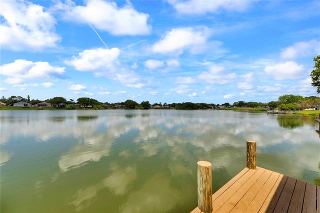 3921 ROSWELL PLACE, Land O Lakes, FL 34639