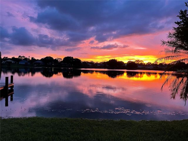 3921 ROSWELL PLACE, Land O Lakes, FL 34639