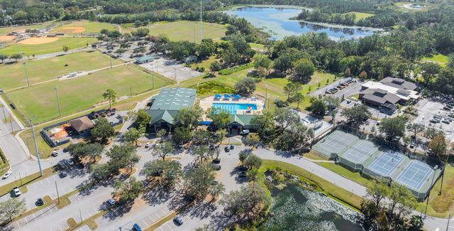 3921 ROSWELL PLACE, Land O Lakes, FL 34639