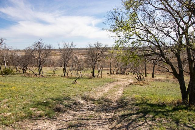 401 Ten Bears Trail, Howardwick, TX 79226