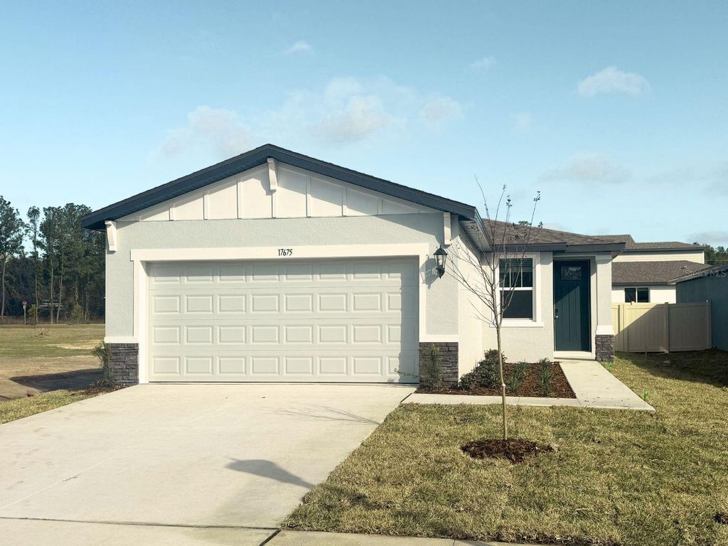 17675 OLIVE THORN DRIVE, Brooksville, FL 34601