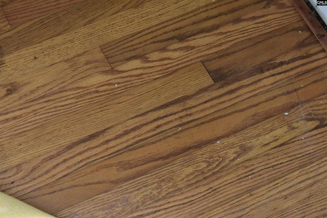 103 Hutto Court, Columbia, SC 29204