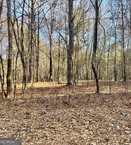 0 Padgett Road LOT 8 FAYETTE PADGETT 14, Senoia, GA 30276