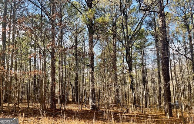 0 Padgett Road LOT 8 FAYETTE PADGETT 14, Senoia, GA 30276