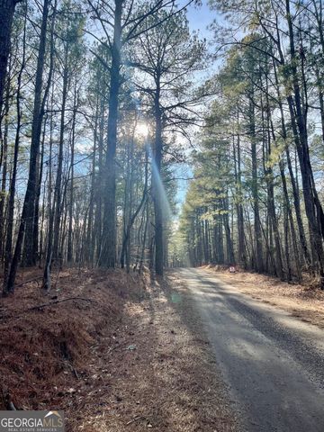 0 Padgett Road LOT 8 FAYETTE PADGETT 14, Senoia, GA 30276