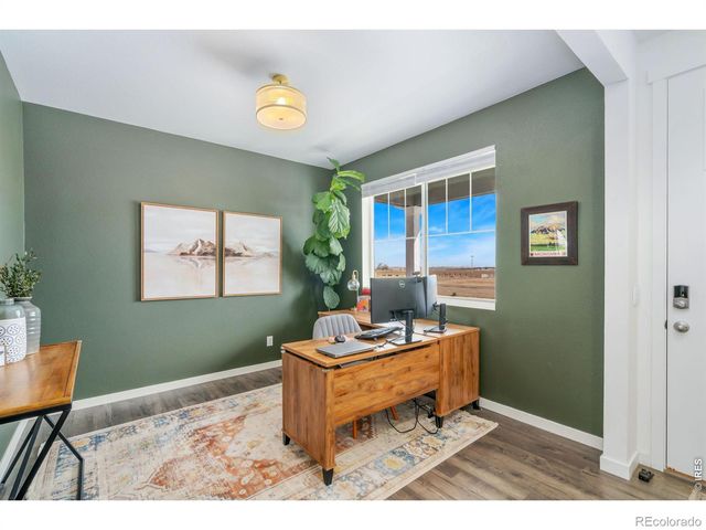 3746 Foxbrush Street, Wellington, CO 80549