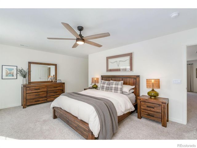 3746 Foxbrush Street, Wellington, CO 80549