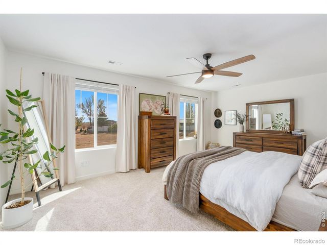 3746 Foxbrush Street, Wellington, CO 80549