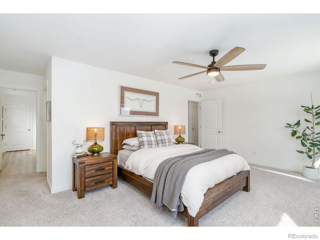 3746 Foxbrush Street, Wellington, CO 80549